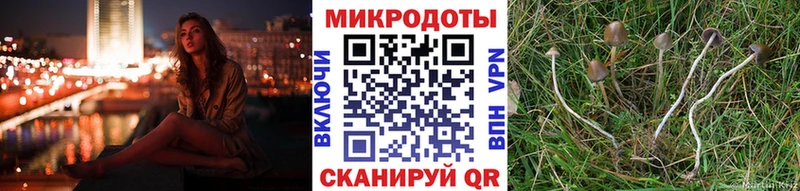 магазин  наркотиков  Юрга  Псилоцибиновые грибы мухоморы 